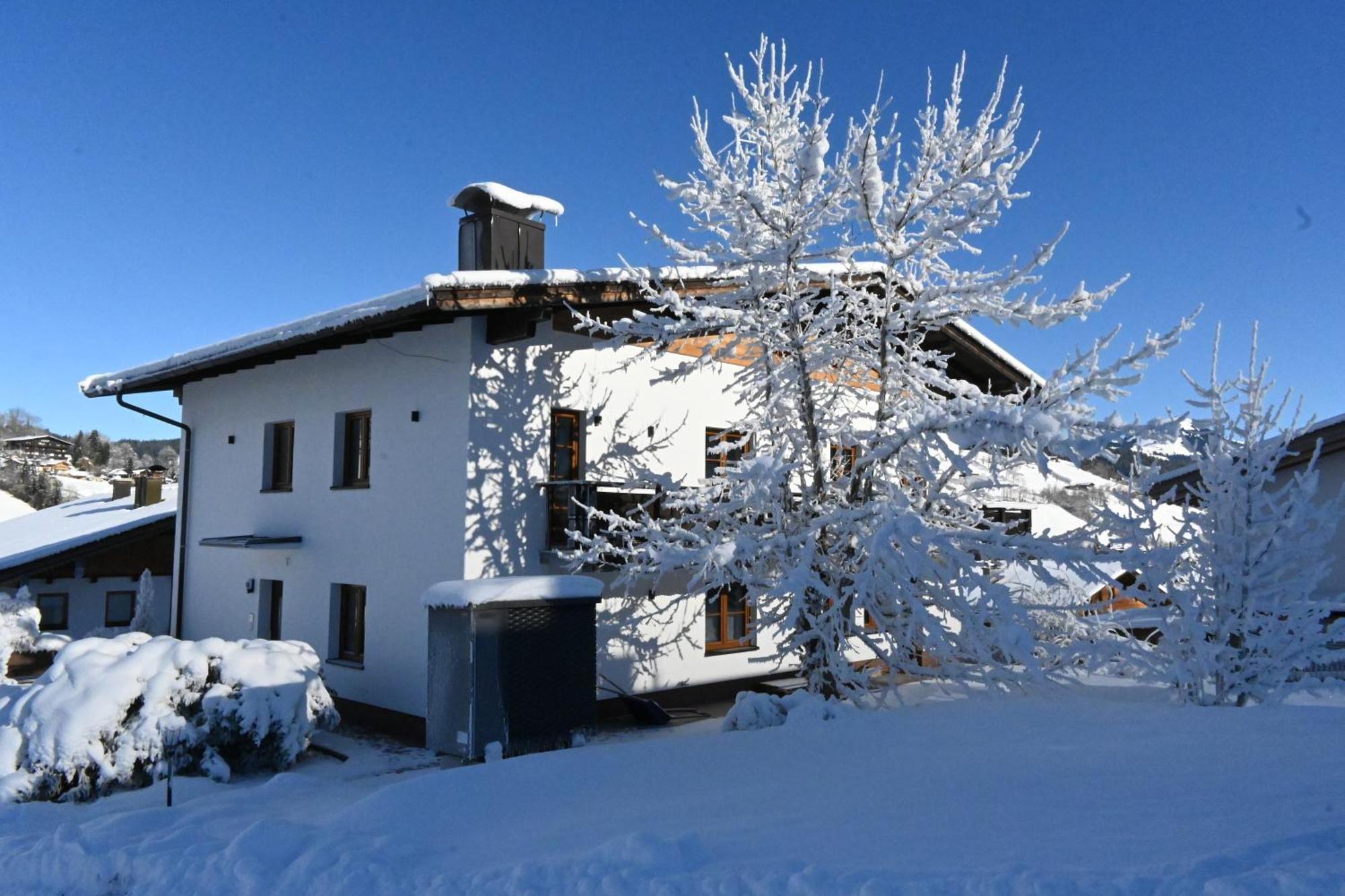 Nicky Apartments And Studios Niederau Exteriör bild